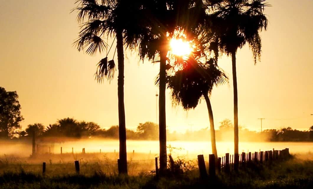 Foggy field and low sun in Paraguay