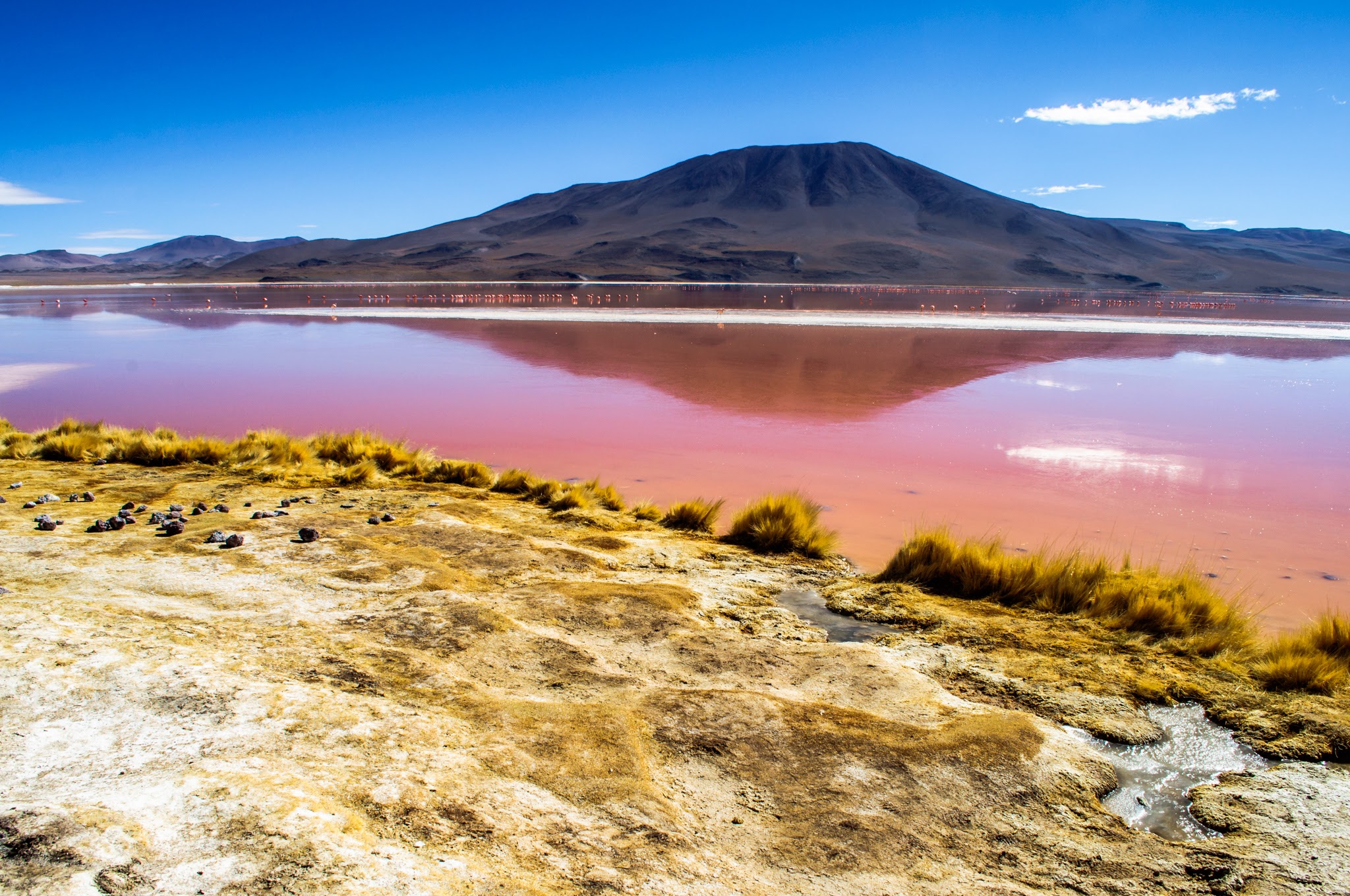 what-is-bolivia-famous-for