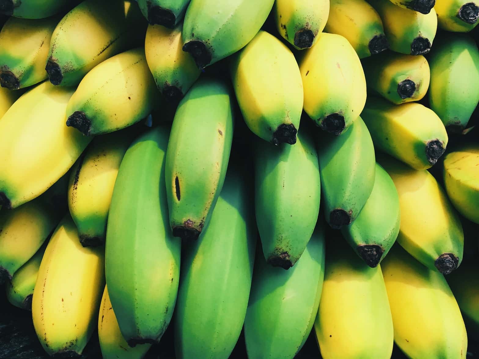 what is ecuador famous for