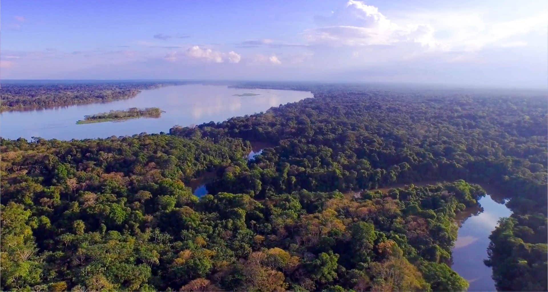 Aerial view of a wide river winding through lowland rainforest