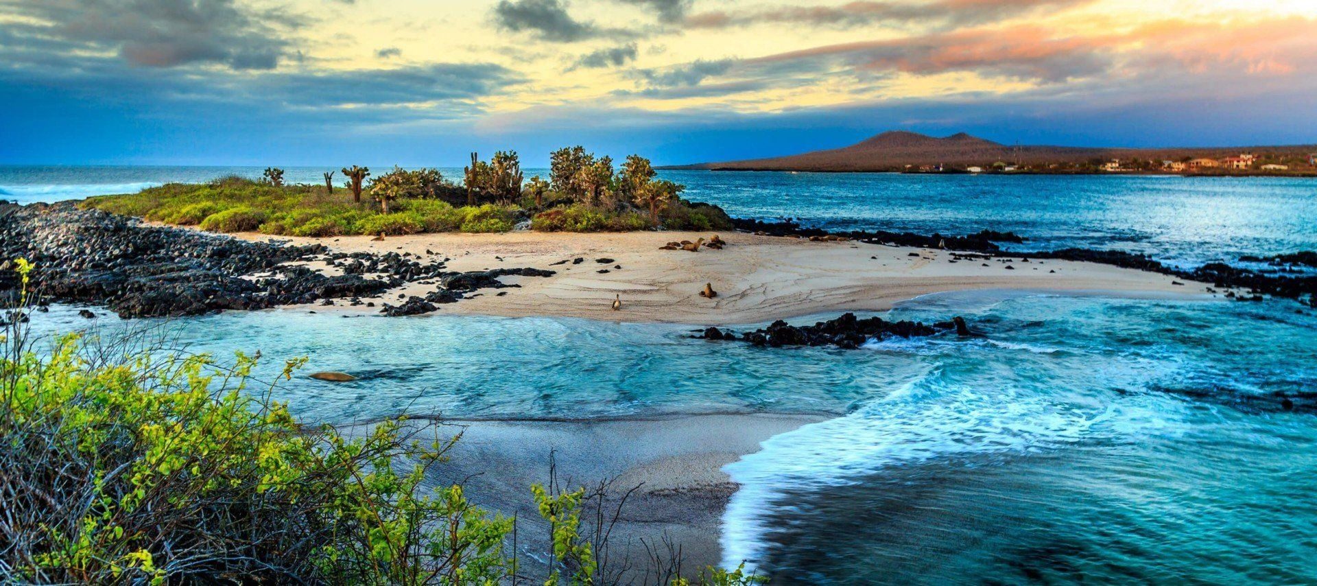 Clear water and dark volcanic rock along a Galápagos shoreline