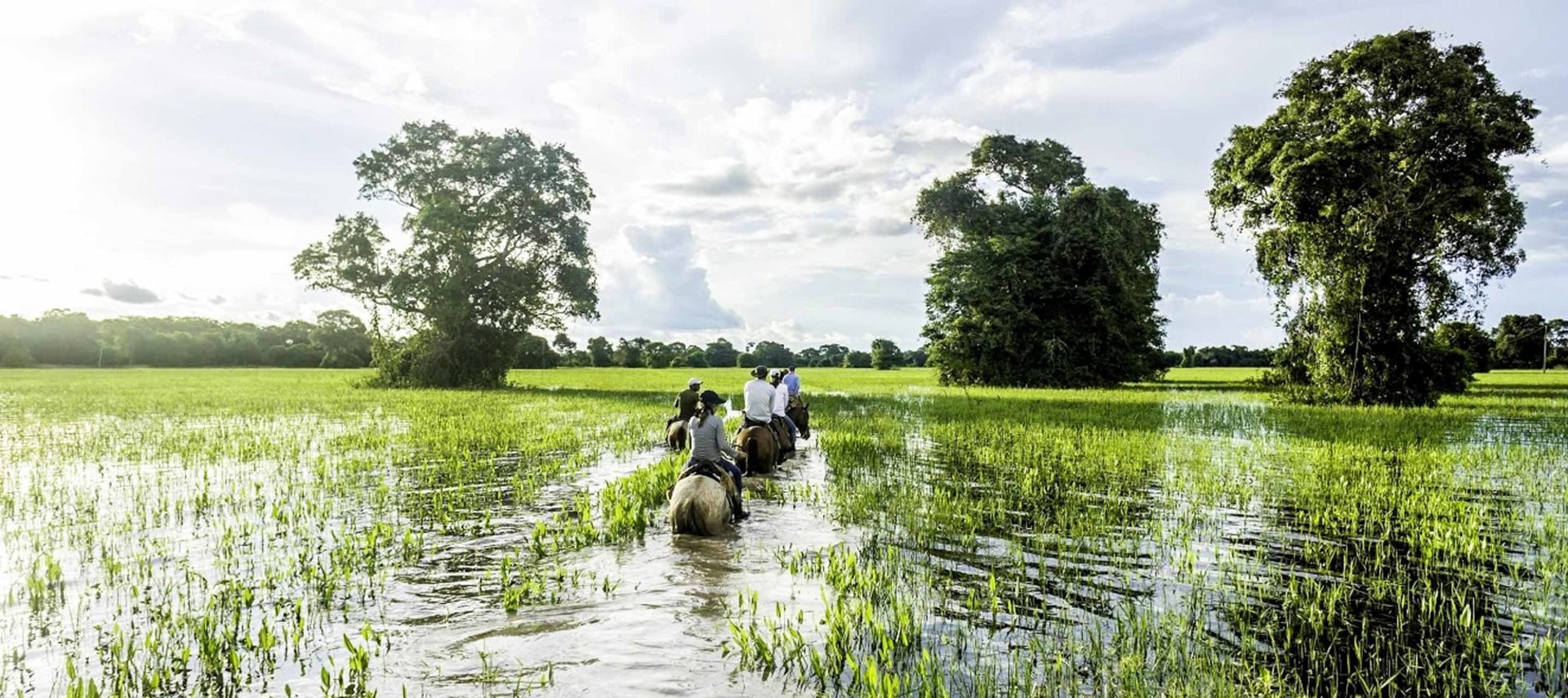 Riders crossing flooded grassland in the Llanos in the wet season